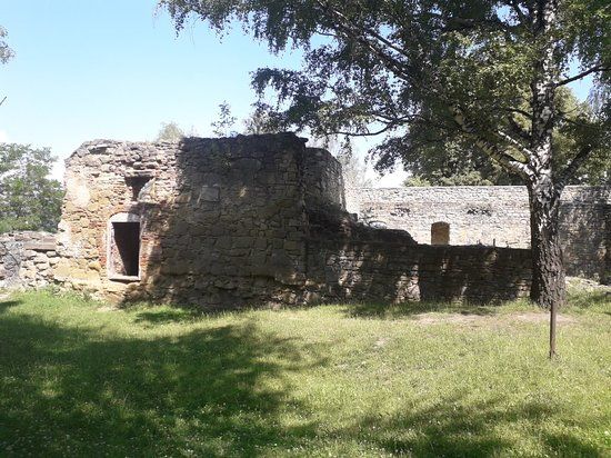 Zamek Królewski w Nowym Sączu